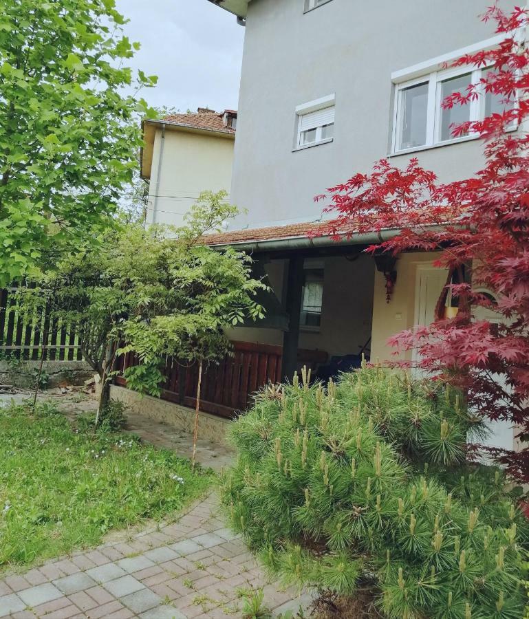 شقة Duplex Mihajlovic-Vrnjačka Banja المظهر الخارجي الصورة