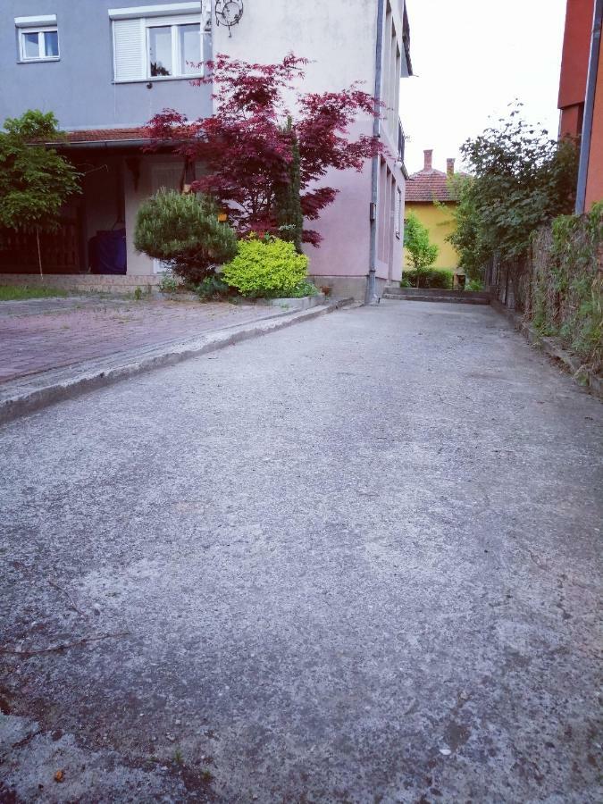شقة Duplex Mihajlovic-Vrnjačka Banja المظهر الخارجي الصورة